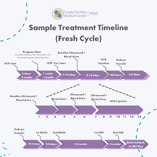 We did not find results for: Ivf Process Timeline Calendar How Long Does Ivf Take