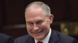 Here's what Yellowstone fieldwork is like. (Hint: Grizzly bear fights,  eagle catches, and gnarly elk carcasses)