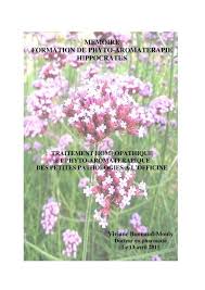 D'autant plus que les médias, la publicité et autres outils de communication. Memoire Formation De Phyto Aromaterapie Hippocratus