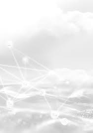 二零二五年半年度業績公告