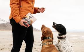 How to Choose the Best Dog Training Treats - Ultimates | Advanced Pet  Nutrition Made in the USA