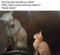 Wackyy The Ultimate Source Of Funny And Weird Products Funny Animal Memes Cute Funny Animals Animal Memes