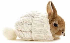 Download 450 bunny wallpaper free vectors. Bunnies Wallpapers Group 76