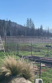 Angela L C aka angelalc - 02-14-2020 OnlyFans Video - Yessss hanging out in Medford  Oregon with one of my best friends - XXX shemale video available for online  viewing on X-tg.