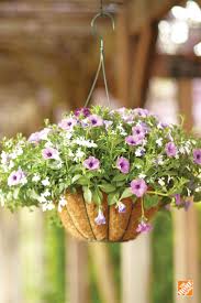 Garden Plants Flowers Garden Center Planting Flowers Plants Outdoor Flowers
