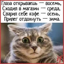 мультик леди баг и супер кот на русском языке Pin Ot Polzovatelya Anastasiya Na Doske Yumor V 2020 G Zabavnye Kartinki Shutki Yumornye Citaty