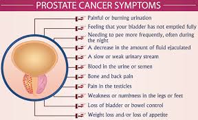 Le cancer de la prostate est le cancer le plus fréquent. Prostate Cancer Symptoms Infographic Vector Illustration Health Healthcare And September Prostate Cancer Awareness Month Concept For Presentation Brochure Banner Eps 10 Format Printable Colors Medical Associates Of Northwest Arkansas