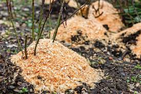 When used in containers, garden soil gets very compacted. 14 Uses For Sawdust In The Garden With Tutorials Gardening
