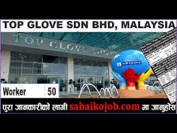 Please note that tg ecommerce sdn bhd has the rights to change the contents of the terms and conditions without any notice. Malaysia à¤• Top Glove Sdn Bhd à¤® à¤° à¤œà¤— à¤° Manpower Demand Palm Oil Industry