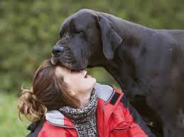 South Knox Middle/Senior High School Honor Roll: Third-Nine Weeks