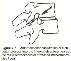 Chapter 7 The Cervical Spine