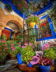 Pin By Cleka Baro On Splash Of Color Beautiful Gardens Plants Garden