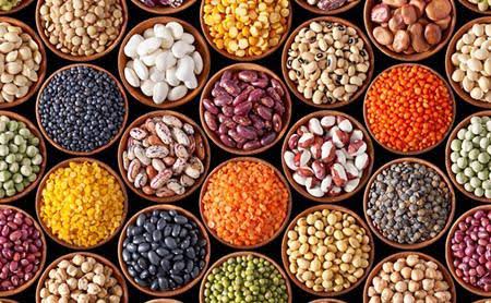 Hybrid Seeds agriculture product category