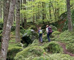 Hotels near bagni del masino search hotels and more near bagni del masino type your destination. La Foresta Dei Bagni Itinerari Per Tutti In Val Masino