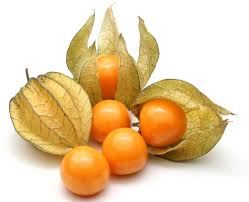 Growing tomatillos and tomatoes sound close in name and both have similar growing needs, but that is all. Fruits From Different Continents Of The World Balamis12