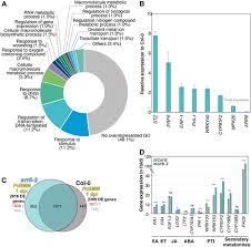 Maybe you would like to learn more about one of these? Arabidopsis Response Regulator 6 Arr6 Modulates Plant Cell Wall Composition And Disease Resistance Molecular Plant Microbe Interactions