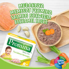 Angkat seluruh bahan lalu blender hingga halus. Akhir Pekan Ini Kenalkan Inirasanya Bayi Sehat Promina Facebook