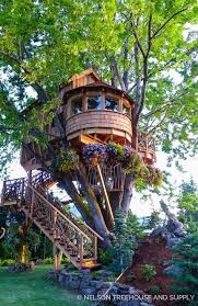 Nelson Treehouse Lake Chelan Beautiful Tree Houses Tree House Designs Cool Tree Houses