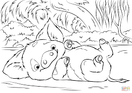 229k.) this moana coloring pages maui and hei hei for individual and noncommercial use only, the copyright belongs to their respective creatures or owners. Pua And Hei Hei Coloring Page Coloring Pages