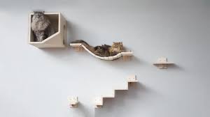 De donkerste plaatsen in de hel zijn voorbehouden aan hen die zich afzijdig houden in tijden van morele crisis. Bol Com Plankjes Voor De Kat Kattenplankjes Muurplankjes Klimmuur Kat Loopplankjes Kat