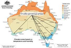 Where do truffles grow map. Truffle Growing Areas In Australia Map Source Bureau Of Meteorology Download Scientific Diagram