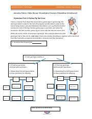 Try this amazing amoeba sisters: Amoeba Sisters Monohybrid Crosses Key Monohybrid Cross And The Punnett Square Youtube