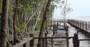 Southern most tip of asia ahh. Restoration Of Coastal Hydrology At Tanjung Piai Malaysia Wetlands International Malaysia