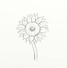 It's also fun to make flowers that aren't real looking but that are still beautiful designs and colors. How To Draw A Sunflower In 10 Easy Steps Feltmagnet