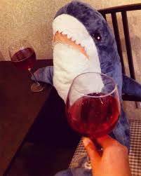 Pin On Shark