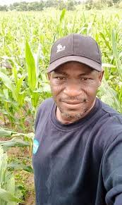 A quick follow up about the use of Counter and herbicides in field corn.  [https://ugaweedscience.blogspot.com/](https://ugaweedscience.blogspot.com/) 