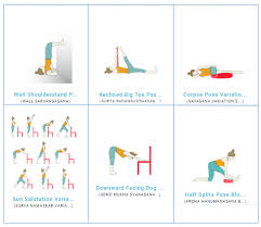 Discover Yoga Pose Variations To Teach In Your Yoga Classes Yoga Sequences Beginner Yoga Workout Yoga Class Plan