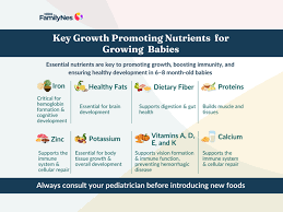 Image result for Infant Nutrition Components