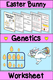 Easter Bunny Genetics Growing Worksheet Bundle Biology Lesson Plans Middle School Science Teacher Genetics