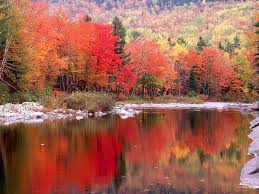 Mais pour les moments où on n'a pas le temps de sortir ou quand l'automne frappe à nos portes mais elle n'est pas encore arrivée, on a toujours la chance d'explorer le monde et de tirer des connaissances. Fonds D Ecran Paysage D Automne Page 2 Paysage Automne Fond Ecran Automne Paysage Automnal