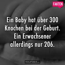 Ein Baby Hat Uber 300 Knochen Bei Der Geburt Kaufdex Unglaubliche Fakten Erstaunliche Fakten Weisheiten