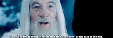 @MegaHeid's video Tweet