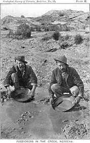 Who was the first player to rush for 1000 yards in a season? The Australian Gold Rush Test Your Knowledge Proprofs Quiz