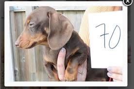 kate suiter (@katesuiter)