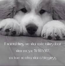 If Material Things Are What You Re Talking About When You Say I M Blessed You Have No Idea What A Blessing Is Self Quotes Sayings Me Quotes