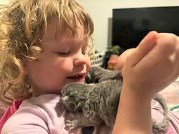 Willie and Waylon living their best life