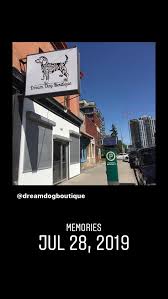 The best online pet fashion & accessories boutique. Dream Dog Boutique Home Facebook