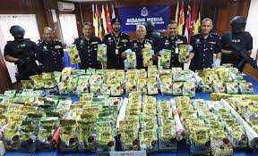 Kerajaan akan memohon untuk mengekstradisi enam rakyat malaysia yang ditahan di lapangan terbang antarabangsa hong kong kerana disyaki menyeludup dadah. Polis Rampas Syabu 309kg Bernilai Rm22j