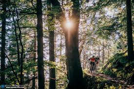 How to euro table top. The Best Budget Trail Bike Of 2020 9 Exciting Mtbs On Review Enduro Mountainbike Magazine