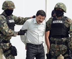 The wife of mexican drug boss joaquin el chapo guzman pleaded guilty thursday to drug trafficking and money laundering charges related to her husband's narcotics empire. The Best El Chapo Movies Shows Documentaries You Can Watch Today Drogenkartell El Chapo Drogenhandel