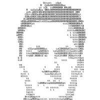 Eddy Wan Email & Phone Number