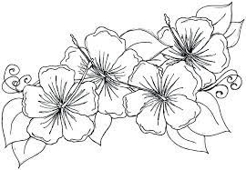 39+ hawaiian flower coloring pages for printing and coloring. Pin On Flowers Coloring