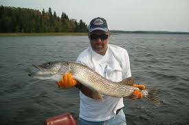 Northern Pike Fishing Erringtons Wilderness Island