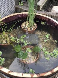 Jetzt Wird Es Nass Diy Miniteich Im Holzfass Elly S Do It Yourself In 2020 Miniteich Holzfass Teich