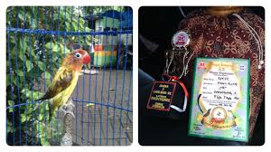 Maybe you would like to learn more about one of these? Lovebird 2017 Watch In English With English Subtitles In 720 Truejfiles