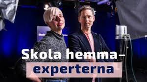 Forskare emma frans är doktor i medicinsk epidemiologi. Skola Hemma Experterna 27 Mars Emma Frans Om Barn Och Smittspridning Ur Play